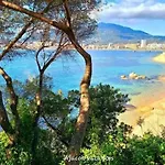 Apartamento Ajaccienne *